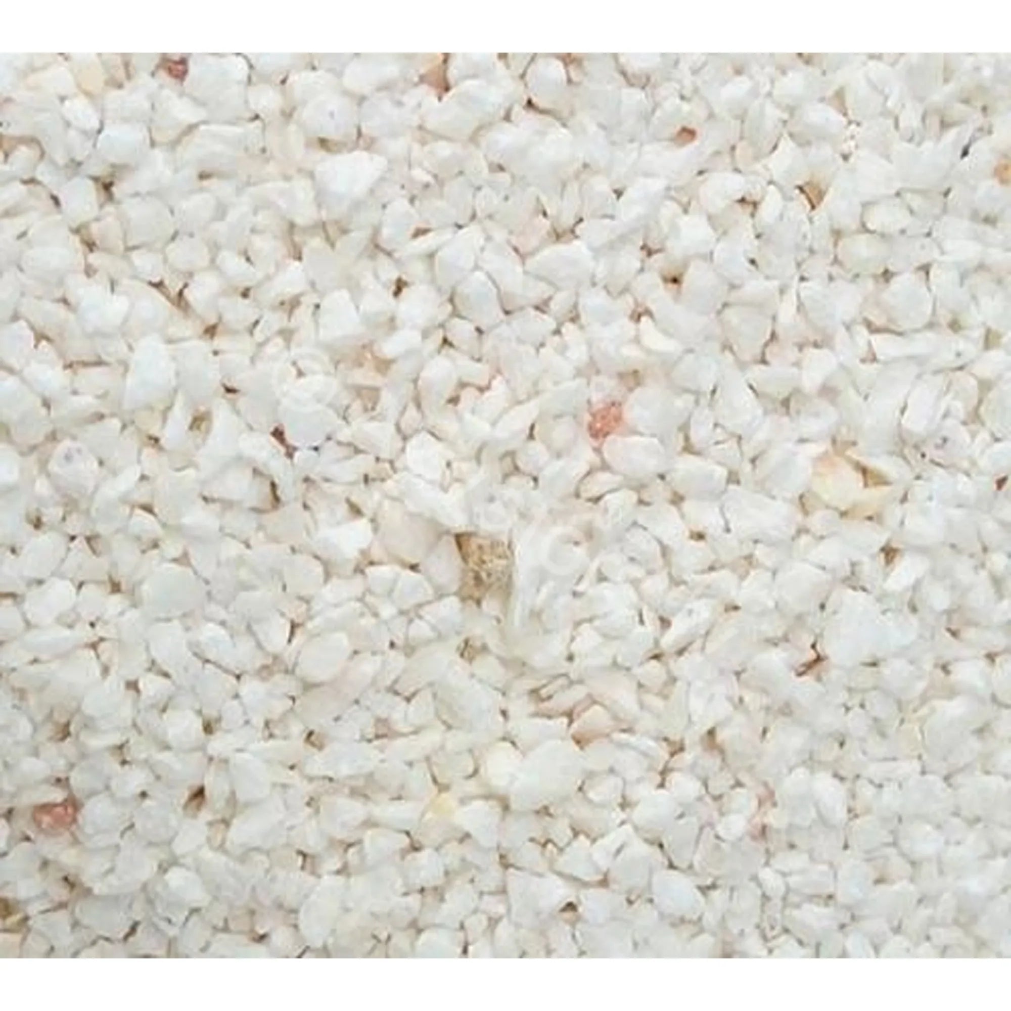 Clack Corosex (22,5 kg)
